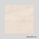 Gujarath Floor Tiles