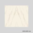 Gujarath Floor Tiles