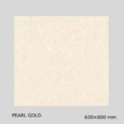 Gujarath Floor Tiles