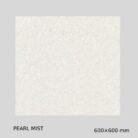 Gujarath Floor Tiles