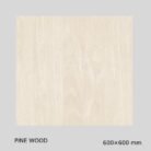 Gujarath Floor Tiles