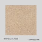 Gujarath Floor Tiles