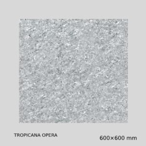 Gujarath Floor Tiles