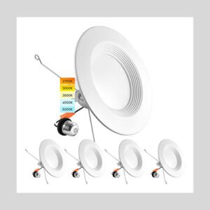 luxrite ceiling light