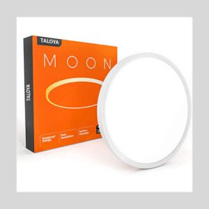 Taloya Flush Mount Ceiling Light