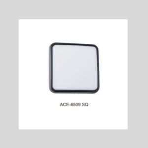 ACE Exterior Outdoor Light
