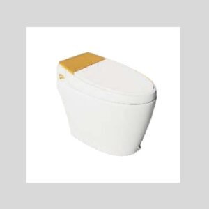 Hindware Water Closets