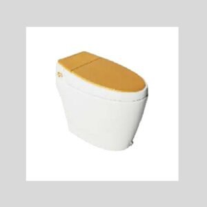 Intelligent Water Closets