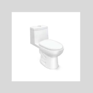 One piece water closets